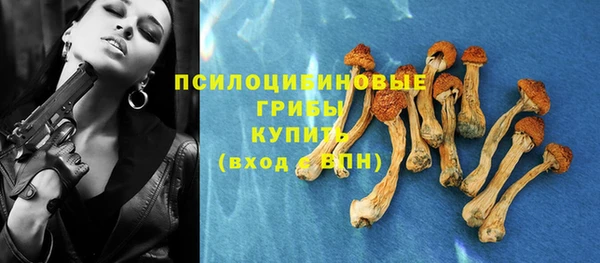 Альфа ПВП Богородск